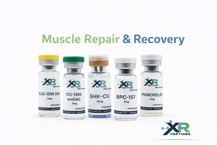 Muscle Repair & Recovery Research